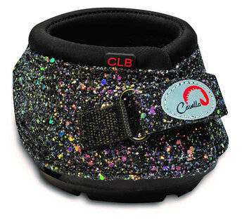 Shetland & petit poneys