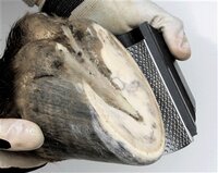 EVO RADIUS R&Acirc;PE (RUDE RR-2)