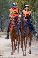 ScootBoot Classic (paire)