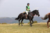 ScootBoot Classic (paire)