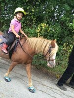 ScootBoot Classic (paire)