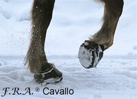 CAVALLO POINTES AVEC CL&Eacute; 