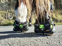 EXPLORA MAGIC (paire)