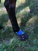 Cavallo Simple (paire)