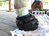 Cavallo Simple (paire)