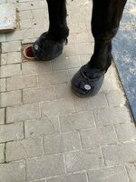 Cavallo Big Foot Boot (BFB)