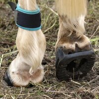 ScootBoot Skin Glue-On (paire)