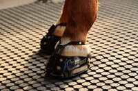 ScootBoot Enduro Adjust per pi&egrave;ce