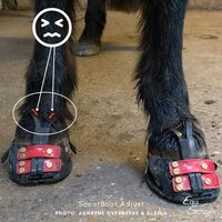 ScootBoot Mudstrap Collar Pack