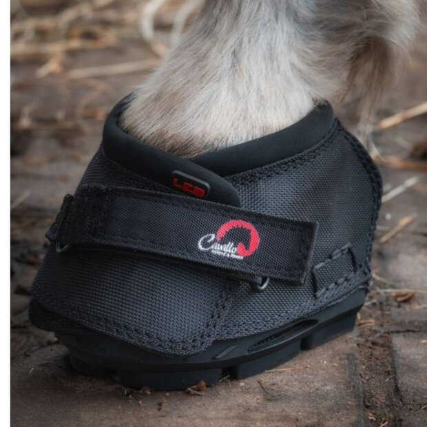 CAVALLO LEB TEST / LOCATION