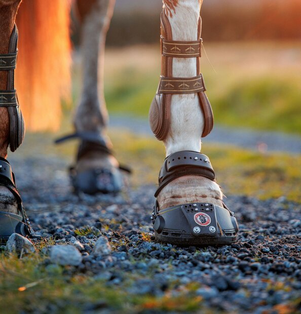  EQUINE FUSION TRAILBLAZER TEST / LOUER