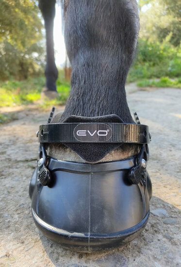 EVO SAFETY STRAP