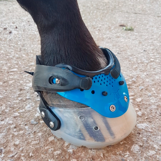 FLOATING BOOT 2019 P2-XL CUSTOM (paire)