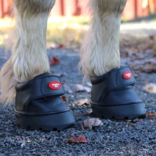 EASYBOOT MINI TEST / LOCATION