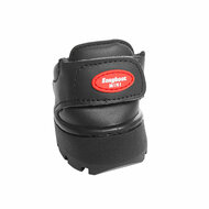EasyBoot Mini