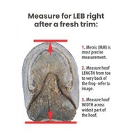 Cavallo LEB - Long Ear Boot - Noire