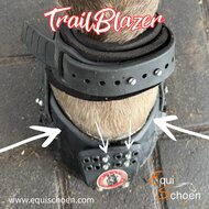  EQUINE FUSION TRAILBLAZER TEST / LOUER