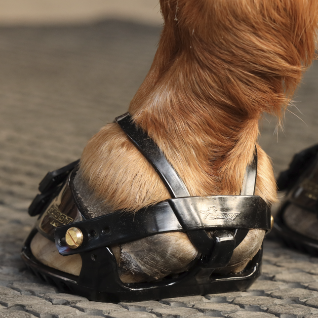 Ajustement des hipposandales